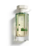 عطر كورال بلوم